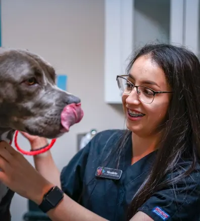 Nicolette from Hill Country Animal Hospital